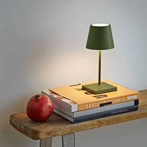 Sigor Lampe de table LED rechargeable Nuindie mini, USB-C, vert sapin, intensité^ Lampes Décoratives