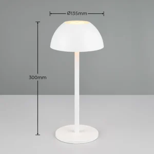 Reality Leuchten Lampe de table LED rechargeable Ricardo, blanc, hauteur 30 cm, plastique^ Lampes Décoratives