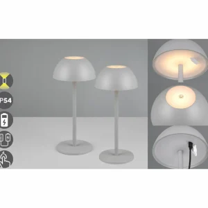 Reality Leuchten Lampe de table LED rechargeable Ricardo, gris, hauteur 30 cm, plastique^ Lampes Décoratives