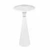 Reality Leuchten Lampe de table LED rechargeable Torrez, blanc, hauteur 28,5 cm, CCT^ Lampes Décoratives