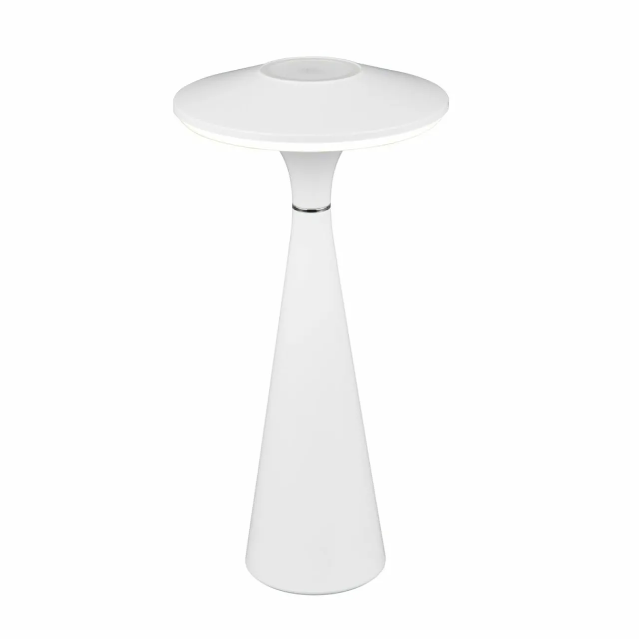 Reality Leuchten Lampe de table LED rechargeable Torrez, blanc, hauteur 28,5 cm, CCT^ Lampes Décoratives