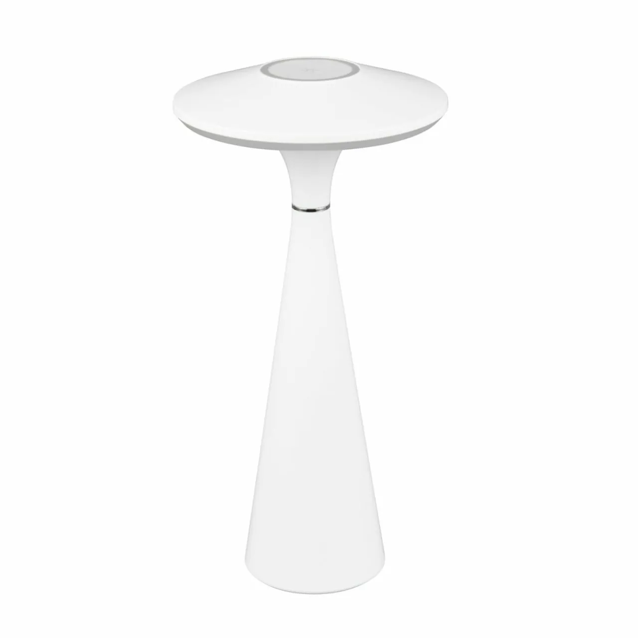 Reality Leuchten Lampe de table LED rechargeable Torrez, blanc, hauteur 28,5 cm, CCT^ Lampes Décoratives