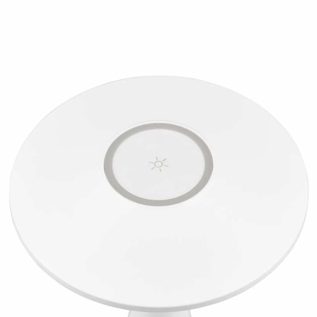 Reality Leuchten Lampe de table LED rechargeable Torrez, blanc, hauteur 28,5 cm, CCT^ Lampes Décoratives