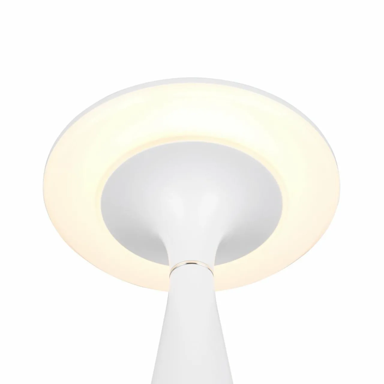 Reality Leuchten Lampe de table LED rechargeable Torrez, blanc, hauteur 28,5 cm, CCT^ Lampes Décoratives