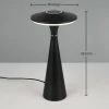 Reality Leuchten Lampe de table LED rechargeable Torrez, noir, hauteur 28,5 cm, CCT^ Lampes Décoratives