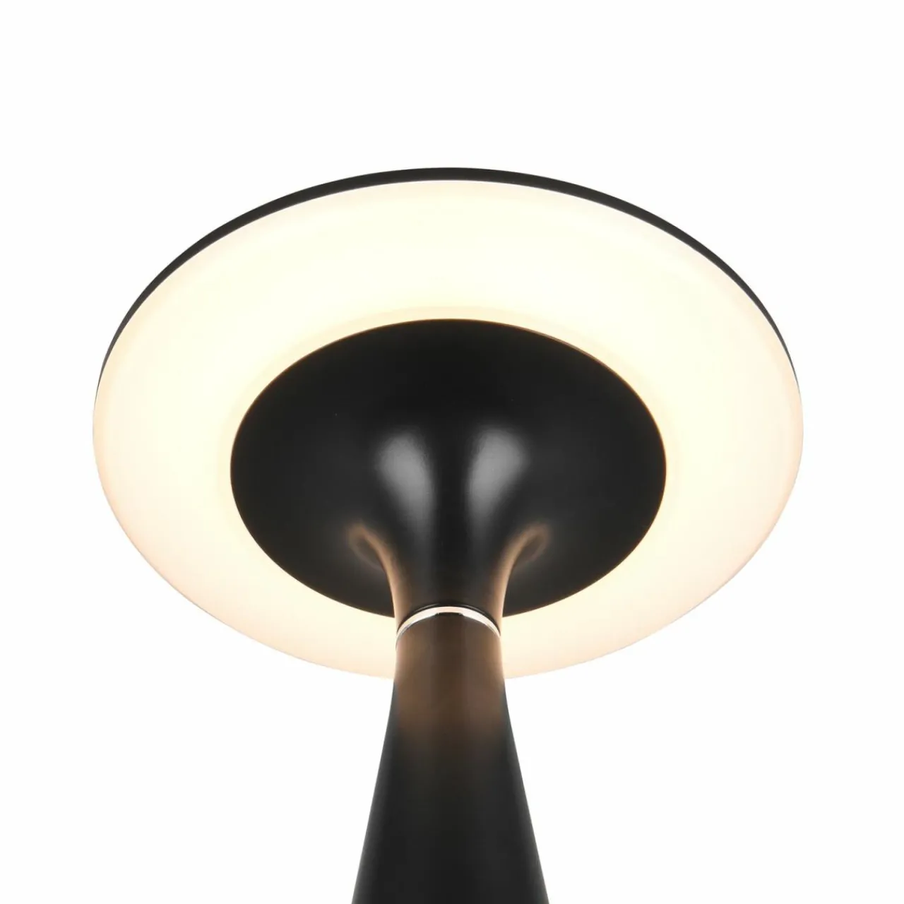 Reality Leuchten Lampe de table LED rechargeable Torrez, noir, hauteur 28,5 cm, CCT^ Lampes Décoratives