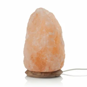 Wagner Life Lampe en sel pleine d'ambiance ROCK 7-10kg^ Lampes Décoratives