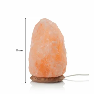 Wagner Life Lampe en sel pleine d'ambiance ROCK 7-10kg^ Lampes Décoratives