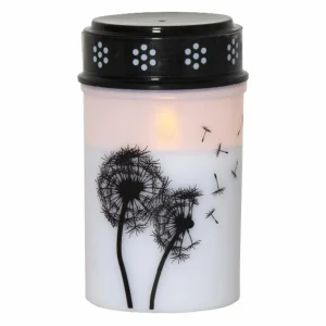 STAR TRADING Lampe funéraire LED Dandelion, 12 cm blanc/noir Plastique Pile^ Lampes Décoratives