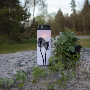 STAR TRADING Lampe funéraire LED Dandelion, 21 cm blanc/noir Plastique Pile^ Lampes Décoratives
