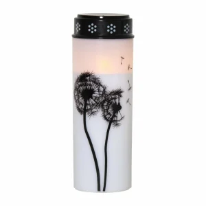 STAR TRADING Lampe funéraire LED Dandelion, 21 cm blanc/noir Plastique Pile^ Lampes Décoratives