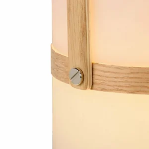 Lucide Lampe LED portative Joe pour intérieur/extérieur^ Lampes Décoratives