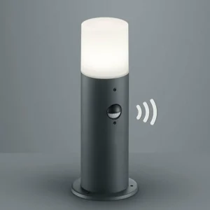 Trio Lighting Lampe pour socle pratique Hoosic avec détecteur^ Potelets Extérieurs Avec Détecteur