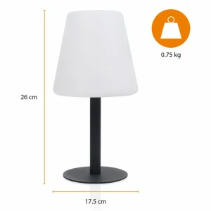 Smartwares Lampe solaire de table LED OSL-50012 Batterie et câble USB^ Lampes Décoratives