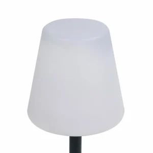 Smartwares Lampe solaire de table LED OSL-50012 Batterie et câble USB^ Lampes Décoratives