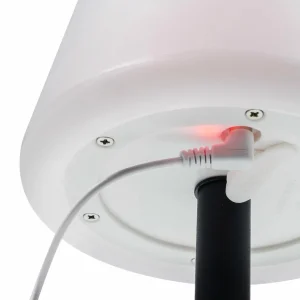 Smartwares Lampe solaire de table LED OSL-50012 Batterie et câble USB^ Lampes Décoratives