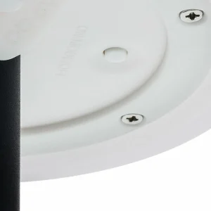 Smartwares Lampe solaire de table LED OSL-50012 Batterie et câble USB^ Lampes Décoratives