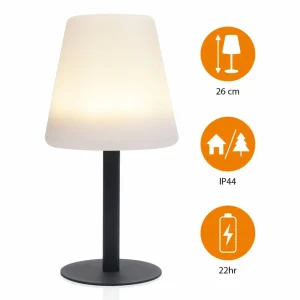 Smartwares Lampe solaire de table LED OSL-50012 Batterie et câble USB^ Lampes Décoratives