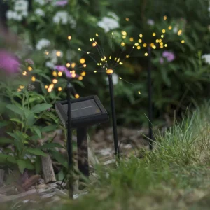 STAR TRADING Lampe solaire LED Firework en lot avec piquets^ Lampes Décoratives