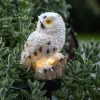 STAR TRADING Lampe solaire LED Owl avec piquet^ Lampes Décoratives