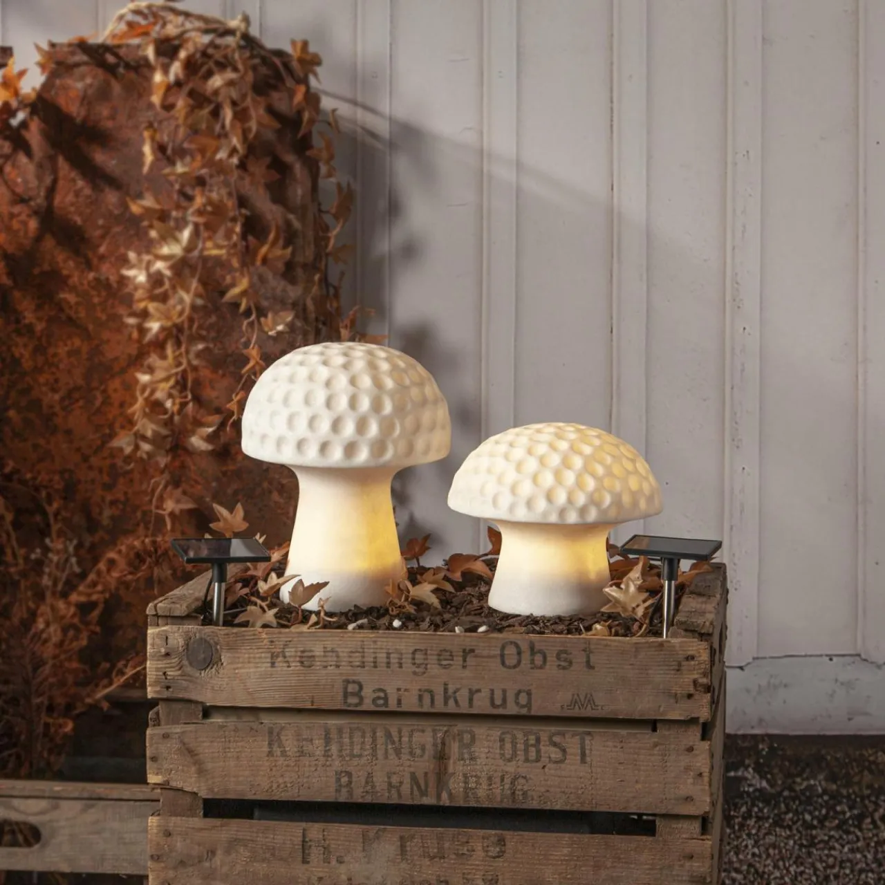STAR TRADING Lampe solaire LED Sandy, 24 cm, blanc, plastique, forme de champignon^ Lumière De Noël