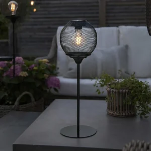STAR TRADING Lampe solaire LED Sunlight avec treillis^ Lampes Décoratives