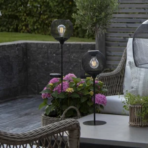 STAR TRADING Lampe solaire LED Sunlight avec treillis^ Lampes Décoratives