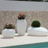 degardo Lampe Storus V LED RGB+CCT pour plantes, blanc^ Lampes Décoratives