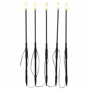 STAR TRADING Lampe sur piquet LED Milky noir hauteur 50,5cm plastique 5x-Set^ Lampes Décoratives