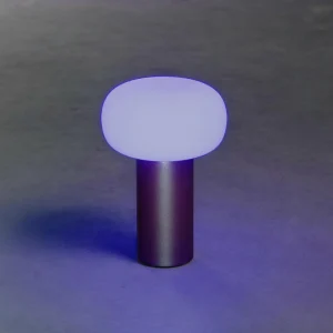 Konstsmide Lampe table LED Antibes IP54 batterie RGBW rouille^ Lampes Décoratives