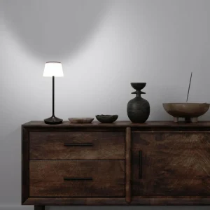 Näve Lampe table solaire LED Emmi CCT recharge, noire^ Lampes Décoratives