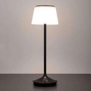 Näve Lampe table solaire LED Emmi CCT recharge, noire^ Lampes Décoratives