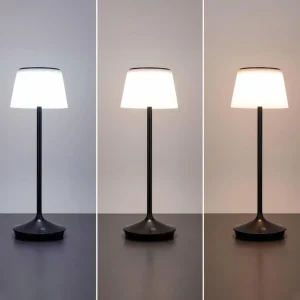 Näve Lampe table solaire LED Emmi CCT recharge, noire^ Lampes Décoratives