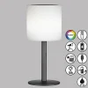 FH Lighting Lampe table solaire LED Lesina, noir sable/blanche^ Lampes Décoratives