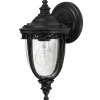 FEISS Lanterne English Bridle IP44 Ø 16,5 cm noire^ Appliques Murales Extérieures