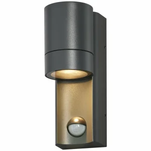 LEDVANCE Applique d'extérieur Endura Classic Isidor GU10 Capteur^ Appliques D'Extérieur Avec Détecteur