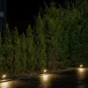 LEDVANCE Endura Garden Flood 20 W spot ext. LED^ Projecteurs D'Extérieur