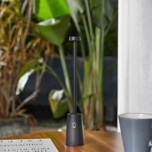 Lindby lampe de table LED rechargeable Noelani, hauteur 30 cm, IP44,^ Lampes Décoratives