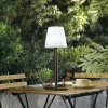 Lindby luminaire LED rechargeable Azalea marron Alu CCT réglable en hauteur^ Lampes Décoratives