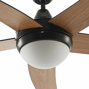 Lindby ventilateur de plafond avec lumière Auraya, silencieux, noir^ Ventilateurs
