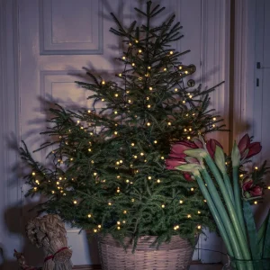 Konstsmide Christmas Manteau d’arbre LED à globes prémontés 200 lampes^ Lampes Décoratives