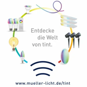 tint Müller Licht Smart Switch^ Matériel Électrique