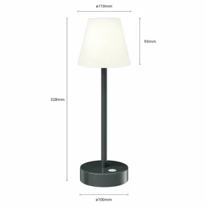 Newgarden Lola Slim lampe à poser LED, anthracite^ Lampes Décoratives