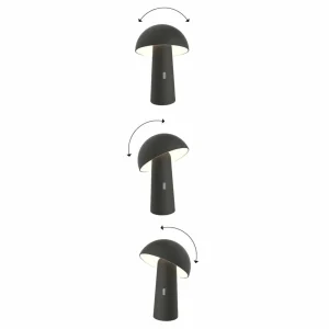 Newgarden Shitake lampe batterie LED IP44 noire^ Lampes Décoratives