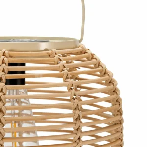 Pauleen Sunshine Nature Lanterne solaire à LED^ Lampes Décoratives