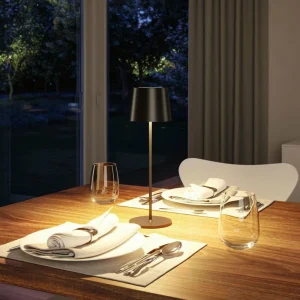 Paulmann Lampe à poser LED rechargeable Gilo, noir, plastique, IP44^ Lampes Décoratives