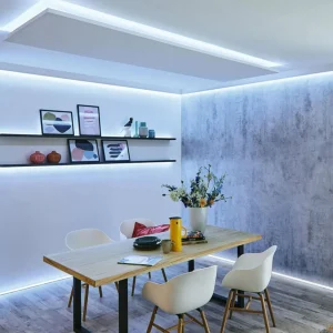 Paulmann MaxLED 250 base IP44 tunable white 3 m^ Lampes Décoratives