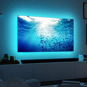 Paulmann MaxLED 250 RGBW Comfort Set TV 65 pouces^ Lampes Décoratives