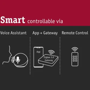 Paulmann MaxLED variation/commutation, ZigBee 3.0^ Interrupteurs Connectés
