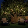 Paulmann Plug & Shine Chaîne lumineuse LED Globe 7x0,2W^ Lampes Décoratives